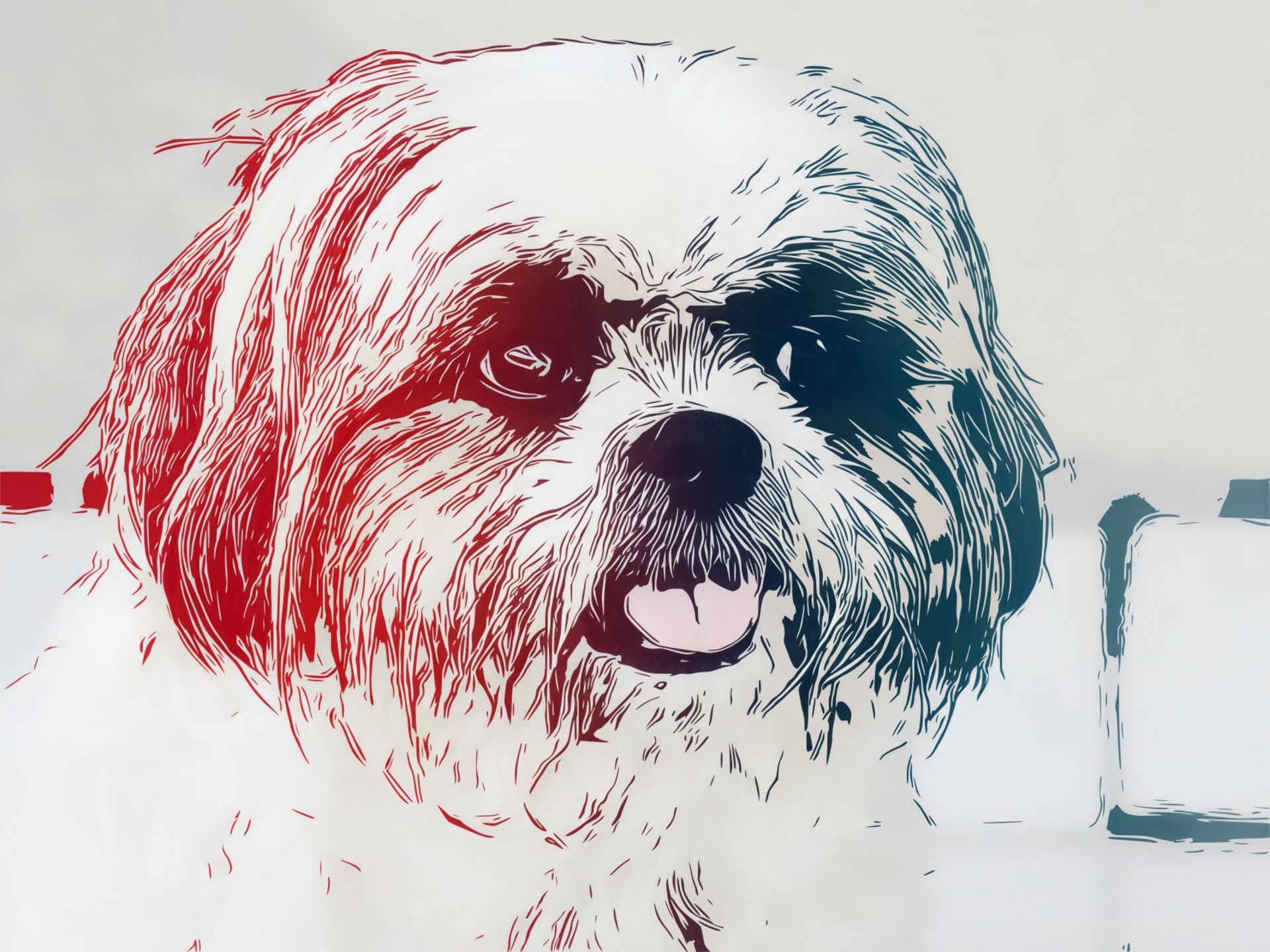 colorcinch dog photo to sketch