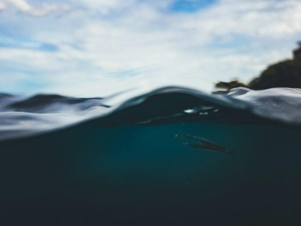 half-submerged beach shot