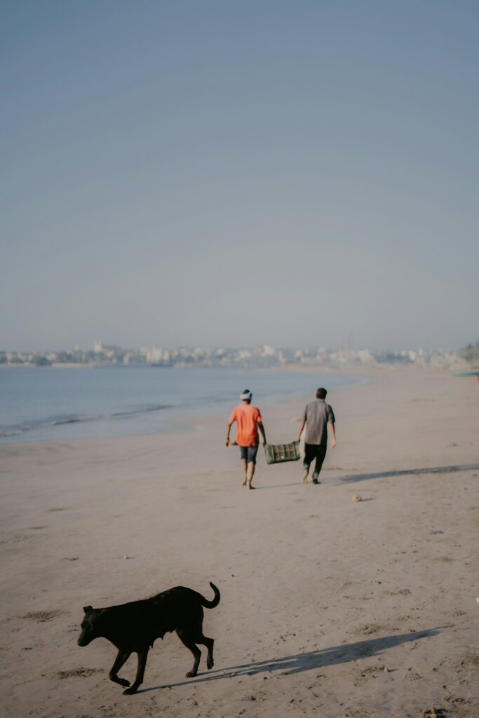 two people and a dog walking by the shoreline