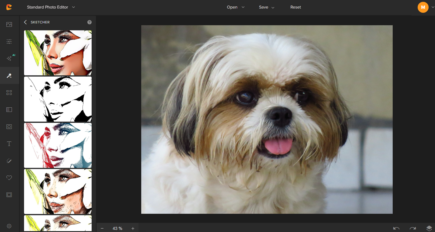 upload photo to colorcinch